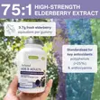 Igennus Elderberry Immune Gummies, Kids 4+, C, D3 & Zinc, 90 - 4