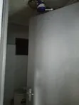1-Bedroom Bungalow for Rent in Makongeni, Thika - 5