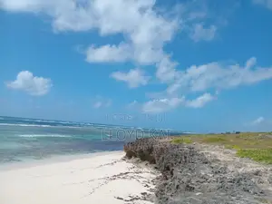 6.5 Acres Beach Property for Sale in Tezo, Kilifi