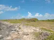 Eneo la Ekari 6.5 Pwani kwa Uuzaji Tezo, Kilifi - 5