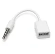 3.5mm TRRS Male to USB-A Female Converter Cable - 2