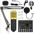 BM 800 Condenser Microphone Recording Kit - 3
