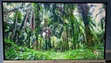 MSI MAG 274URFW 4K 160Hz Monitor - 1