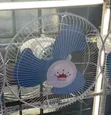 Durable Orbit Fan - 1