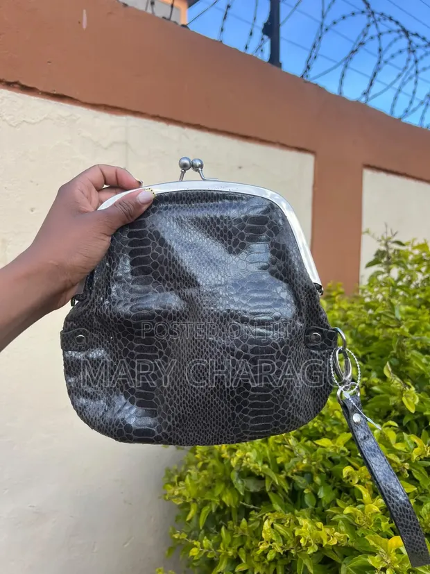 Ladies Handbags - Formal & Casual - 1