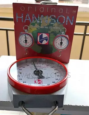 Hanson Hanging Scale 100kg