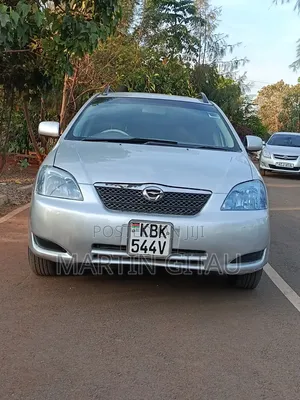 Toyota Corolla RunX 2004 Silver