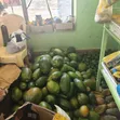 Mutua Farm Fresh Papayas - 1