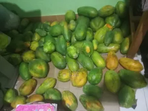 Mutua Farm Papai Safi