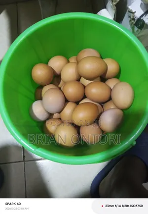 Acrate of Chicken Eggs