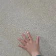Delta Wall-to-Wall Carpet 4mm - 2