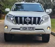 Toyota Land Cruiser Prado TX 2014 White - 2