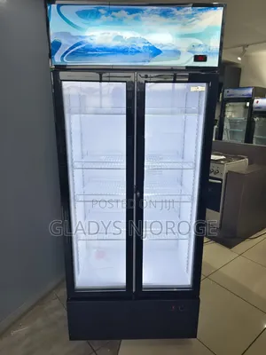 Roch Display Fridge (Mlango Mbili)