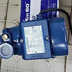 Pedrollo Portable Automatic Surface Water Pump