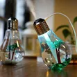 Colour Crystals Decor Bulb Humidifier - 4