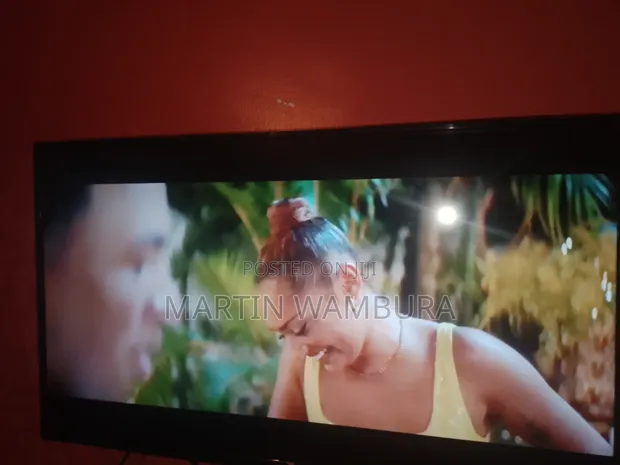 40 Inch Skyview TV - 1
