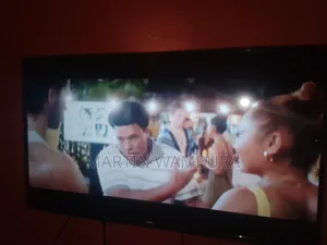 40 Inch Skyview TV