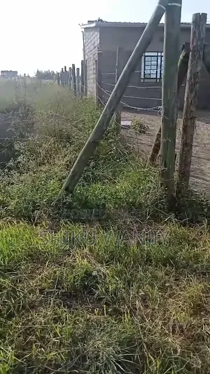 50x100 Plot for Sale in Kisaju, Kitengela