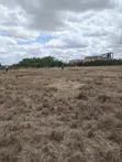 Kitengela Plots for Sale - 50x100 Near KAG University - 3