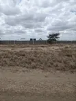 Kitengela Plots for Sale - 50x100 Near KAG University - 4