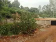 Kiambu Rd, Muthaiga Golf Club Eka 2 za Ardhi ya Biashara - 2