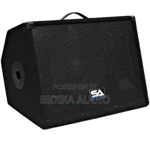 Seismic Audio 12" Floor Monitor