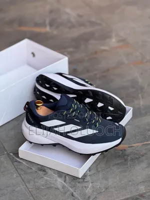 Adidas Terrex-Light Motion Runners