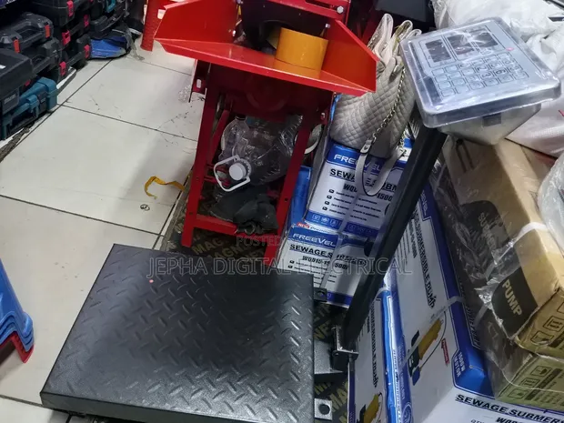 300 Kg Scale with Guard - 1