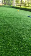 Eco-Friendly Synthetic Grass Carpets 25mm - 2