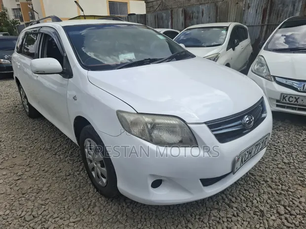 Toyota Corolla Fielder 2009 White - 1