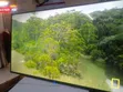 Syinix 50" Smart TV - 5 Months Old - 1