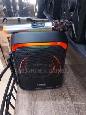 Global Link Sound System with Wireless Microphone