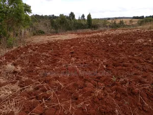 Mwea Plots for Sale - Distress Seller