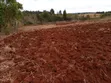 Mwea Plots for Sale - Distress Seller - 1