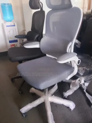Orthopedic Executive Chair - Brand New