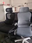 Orthopedic Executive Chair - Brand New - 4