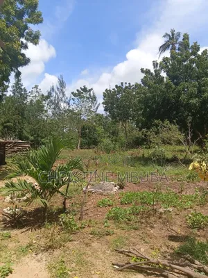 Land & Properties for Sale in Watamu