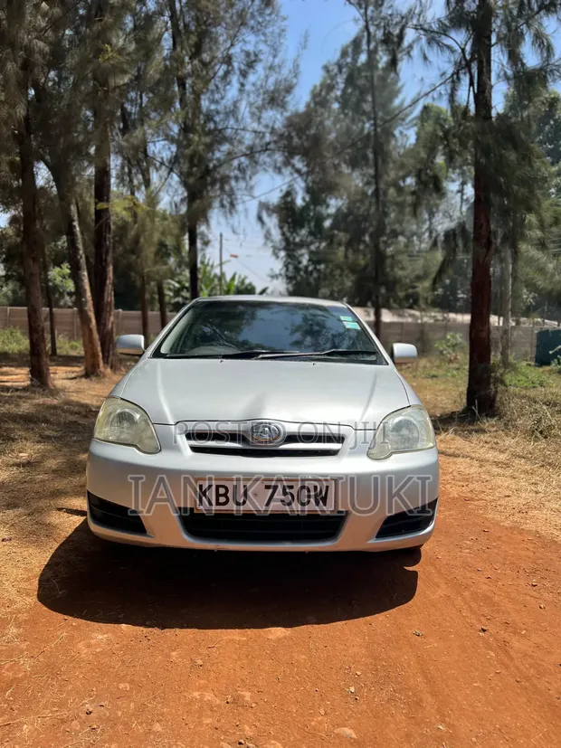 Toyota Allex 2007 Silver - 1