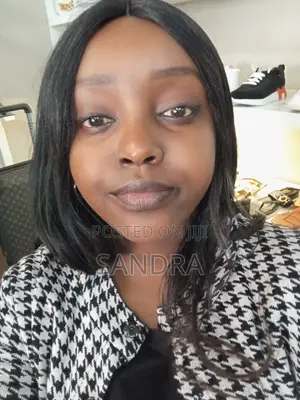 Commission Sales Agent CV - Sandra