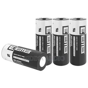 EEMB ER18505 3.6V Betri ya Lithium 4100mAh (Pakiti 4)
