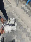 Chupa ya Washer ya Toyota Harrier 240 - Imetumika - 2