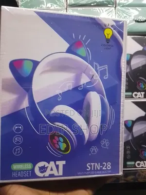 Blue Wireless Kids Headphones