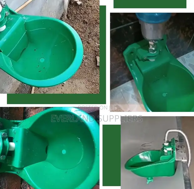 Cows Plastic Drinker - Animal Operated Drinking Bowl - 1