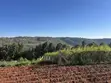 Kitalu cha 100x100 Kinauzwa Mua Hills - 2