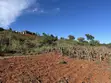 Kitalu cha 100x100 Kinauzwa Mua Hills - 3