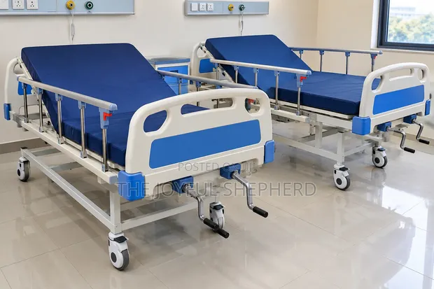Premium Double Crank Hospital Bed - 1