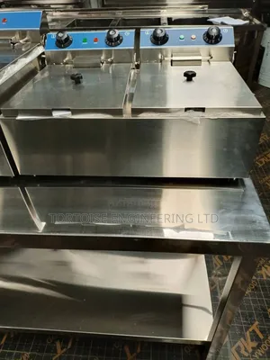 Commercial Double Deep Fryer (10+10 Litres)