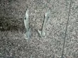 Toyota IST 2005 Bonnet Hinges - 2