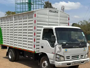 Isuzu NPR Mitaa 2020 Nyeupe