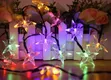 5m Waterproof Multi-Colored LED String Lights - 2